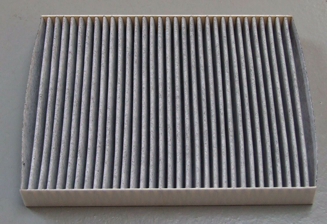 POLEN FILTER CARBON -  PICASSO