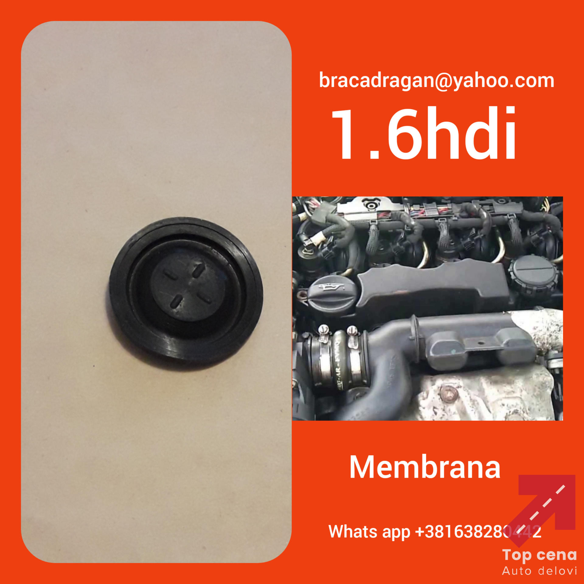 1.6 hdi Membrane