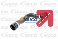Zaptivka, korito za ulje-automatski menjac VAICO V20-1481 - BMW 3 1.6 316i