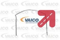 Zaptivka, prednji vetrobran VAICO V46-0331 - RENAULT MEGANE 2 1.5 dci